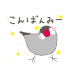 関西弁の桜文鳥（個別スタンプ：9）