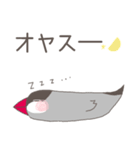 関西弁の桜文鳥（個別スタンプ：10）