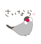 関西弁の桜文鳥（個別スタンプ：12）