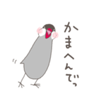 関西弁の桜文鳥（個別スタンプ：22）