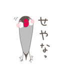 関西弁の桜文鳥（個別スタンプ：23）