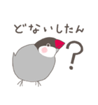 関西弁の桜文鳥（個別スタンプ：29）