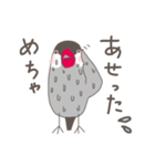 関西弁の桜文鳥（個別スタンプ：30）