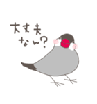 関西弁の桜文鳥（個別スタンプ：36）