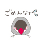 関西弁の桜文鳥（個別スタンプ：37）