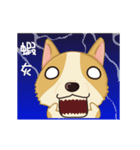 Corgi Animated Stickers（個別スタンプ：4）