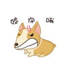 Corgi Animated Stickers（個別スタンプ：7）