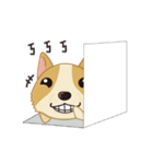 Corgi Animated Stickers（個別スタンプ：10）