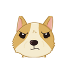 Corgi Animated Stickers（個別スタンプ：12）