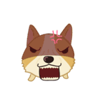 Corgi Animated Stickers（個別スタンプ：13）