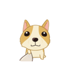 Corgi Animated Stickers（個別スタンプ：14）