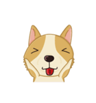 Corgi Animated Stickers（個別スタンプ：17）