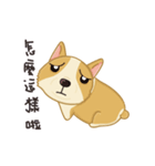 Corgi Animated Stickers（個別スタンプ：21）