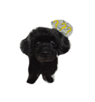 pidpee（個別スタンプ：3）