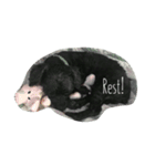 pidpee（個別スタンプ：5）