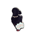 pidpee（個別スタンプ：6）