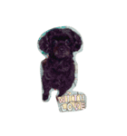 pidpee（個別スタンプ：14）