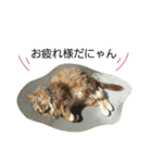 大好きなサラン（個別スタンプ：3）