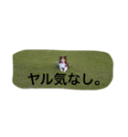 おぺぺ2（個別スタンプ：3）