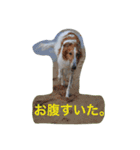 おぺぺ2（個別スタンプ：6）