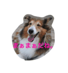 おぺぺ2（個別スタンプ：12）