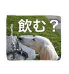 おぺぺ2（個別スタンプ：14）