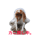 おぺぺ2（個別スタンプ：16）