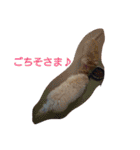 毒ロビン（個別スタンプ：11）