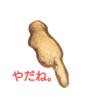 毒ロビン（個別スタンプ：18）