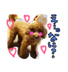 やさしいわんこ（個別スタンプ：1）