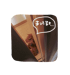 やさしいわんこ（個別スタンプ：3）