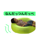 毎日ケンピー（個別スタンプ：7）