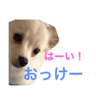 raisan（個別スタンプ：4）