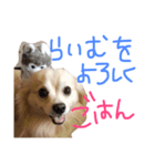 raisan（個別スタンプ：9）
