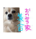 raisan（個別スタンプ：13）