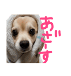 raisan（個別スタンプ：16）