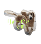 だっくす＊はなまる（個別スタンプ：2）