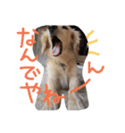 だっくす＊はなまる（個別スタンプ：24）