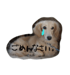 だっくす＊はなまる（個別スタンプ：25）