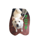 クロさんの呟き（個別スタンプ：4）