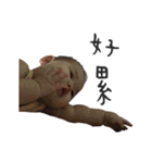 Lovely Lucia（個別スタンプ：31）