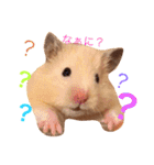 キンクマハムスターのさんぴん（個別スタンプ：2）
