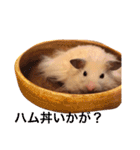 キンクマハムスターのさんぴん（個別スタンプ：7）
