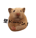 キンクマハムスターのさんぴん（個別スタンプ：10）