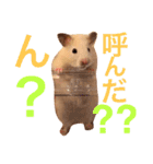 キンクマハムスターのさんぴん（個別スタンプ：15）