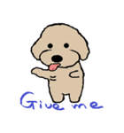 Toy Poodle named Apolln 2（個別スタンプ：2）