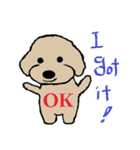 Toy Poodle named Apolln 2（個別スタンプ：7）
