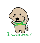 Toy Poodle named Apolln 2（個別スタンプ：9）