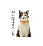 うちの猫が一番可愛い。（個別スタンプ：32）