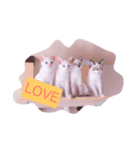 可愛い猫たち♡（個別スタンプ：5）